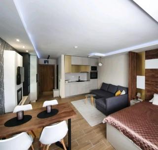 Apartman Skyline Kopaonik - 8