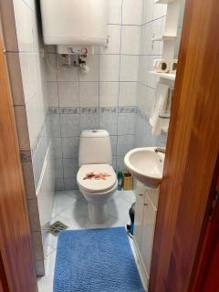 Gedimino Apartamentai - Juodkrantė - 8