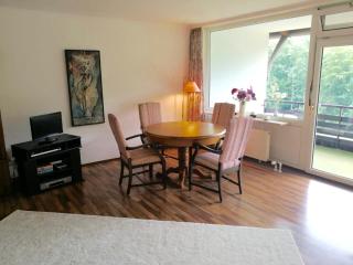 Spacious Roof Top Maisonett Apartment in PRIEN at Lake Chiemsee - Stock - 8