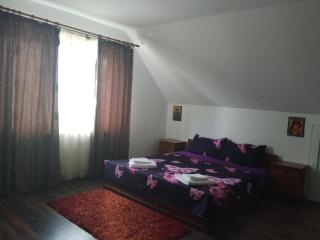 Complex Turistic Casa La Cabană Girov - 8