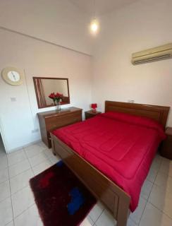 Marias Spacious Aparment - Pafos - 1