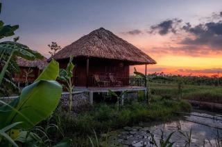 Homestay Mekong Can Tho - Can Tho - 8