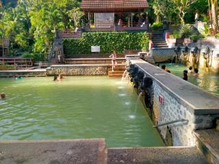 Suta Lovina House - Lovina - 6
