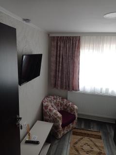 Casa Borza - Alba Iulia - 4