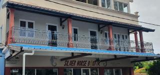 Silver Horse - Palmar - 0