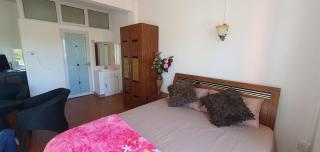 Silver Horse - Palmar - 4