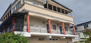 Silver Horse - Palmar - 1