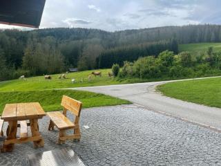 Ferienwohnung ,Hoizmann` - Pinsdorf - 6