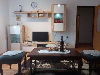 Apartman Skender 3* Ravna Gora - Ravna Gora - 9