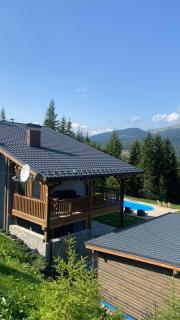 TOPHILL House - Palyanytsya - 8