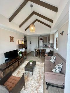 Condomio Gran Alicura - Pucón - 7