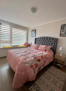 Condomio Gran Alicura - Pucón - 6