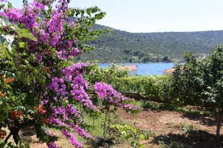 Apartments by the sea Vinisce, Trogir - 10241 - Vinišće - 4