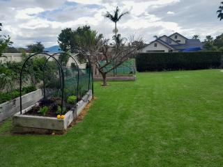 Moana Vista - One Tree Point - 4