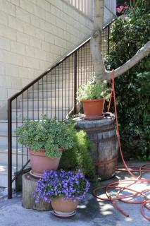 Apartments by the sea Trstenik, Peljesac - 10110 - 3