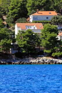 Apartments by the sea Lumbarda, Korcula - 9480 - Lumbarda - 9
