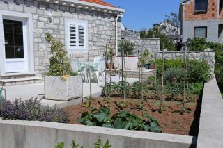 Apartments with a parking space Lumbarda, Korcula - 9474 - Lumbarda - 3
