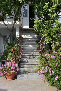 Apartment Viganj 10140b - Viganj - 5