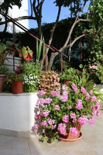 Apartment Viganj 10140b - Viganj - 4