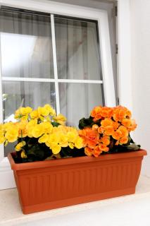 Apartment Viganj 10140b - Viganj - 3