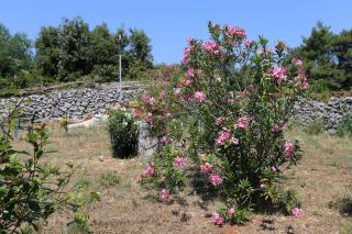 Apartments by the sea Drace, Peljesac - 10211 - 3