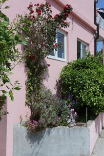 Apartments by the sea Sreser, Peljesac - 10105 - 4