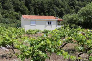 Apartments with a parking space Trstenik, Peljesac - 10109 - Trstenik - 0