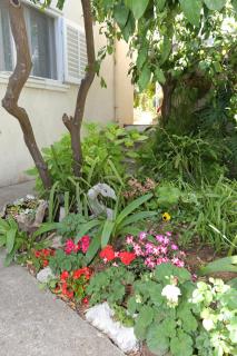 Apartments with a parking space Trpanj, Peljesac - 10111 - Trpanj - 5