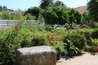 Apartments with a parking space Trpanj, Peljesac - 10148 - Trpanj - 4