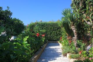 Studio Viganj 10188b - 2