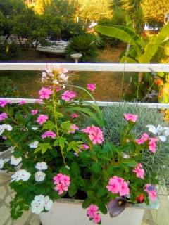 Apartments by the sea Trogir - 9667 - Trogir - 4
