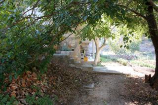 Apartments by the sea Basina, Hvar - 9673 - Vrbanj - 4