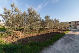 Apartments with a parking space Kastel Kambelovac, Kastela - 11678 - 6