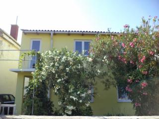 Apartments with a parking space Vir - 11812 - Vir - 0
