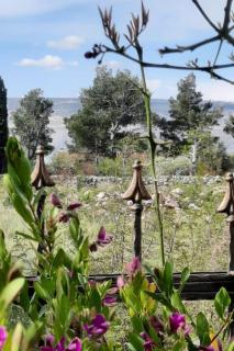 Apartments with parking space Starigrad, Paklenica - 11848 - 3