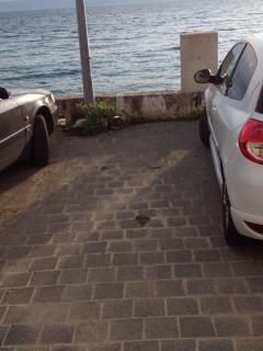Apartments by the sea Podgora, Makarska - 11888 - Podgora - 5