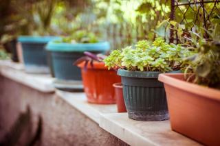 Apartment Podgora 11894a - 4