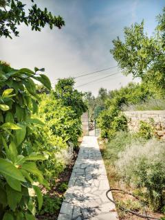 Apartments by the sea Prvic Luka, Prvic - 12064 - 4