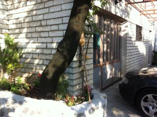 Apartments with a parking space Okrug Gornji, Ciovo - 12077 - 3