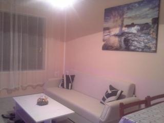 Apartment Crikvenica 12116a - Crikvenica - 1