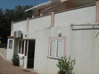 Apartments for families with children Mandre, Pag - 12125 - Kolan - 0