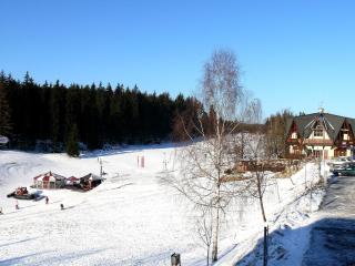Pension Faema - Harrachov - 4