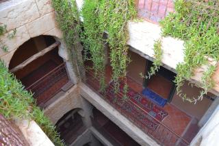 Rose Noire - Ouarzazate - 0