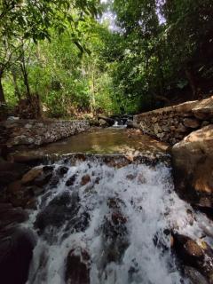 Forest and River Edge Resort - Kannur - 3