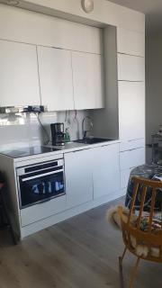 Arctic Apartment with own Sauna - 3