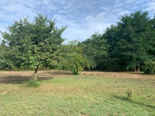 Petite maison dans la prairie - 7