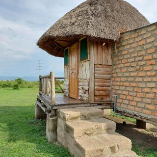Songbird Safari Lodge & Campsite - Katunguru - 2