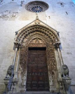 Le camelie - 9