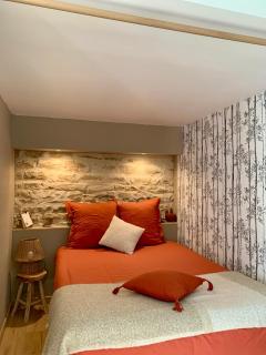 Natural Suite en centre ville avec SPA et jardin - Dijon - 5
