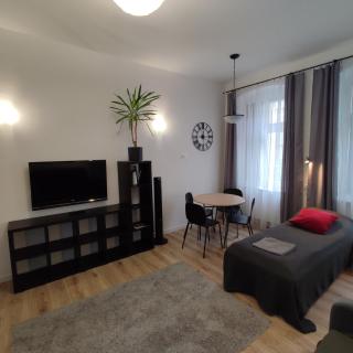 Apartament Rybaki 22 - Poznań - 2
